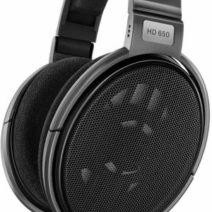 Sennheiser Consumer Audio HD 650 – Audiophile Hi-Res Open Back Dynamic Headphone, Titan
