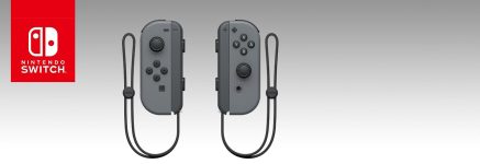 Nintendo Joy-Con (L/R) – Gray