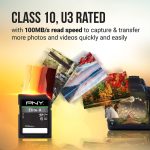 PNY 256GB Elite-X Class 10 U3 V30 SDXC Flash Memory Card – 100MB/s, Class 10, U3, V30, 4K UHD, Full HD, UHS-I, Full Size SD