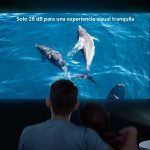 Xiaomi MI Smart Video Projector 2, 1920×1080 Full HD,Android TV and google assistant built-in, White