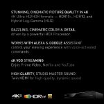 Panasonic Streaming 4K Blu Ray Player, Ultra HD Premium Video Playback with Hi-Res Audio, Voice Assist – DP-UB420-K (Black)
