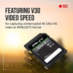 PNY 256GB Elite-X Class 10 U3 V30 SDXC Flash Memory Card – 100MB/s, Class 10, U3, V30, 4K UHD, Full HD, UHS-I, Full Size SD