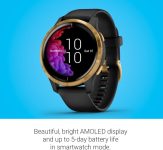Garmin 010-02173-31 Venu, GPS Smartwatch, Bright Touchscreen Display, Features Music, Body Energy Monitoring, Animated Workouts, Pulse Ox Sensor and More, Gold with Black Band