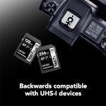 Lexar 128GB Professional 1667x SDXC Memory Card, UHS-II, C10, U3, V60, Full-HD & 4K Video, Up To 250MB/s Read, for Professional Photographer, Videographer, Enthusiast (LSD128CBNA1667)