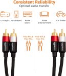 Amazon Basics 2 RCA Audio Cable for Stereo Speaker or Subwoofer with Gold-Plated Plugs, 8 Foot, Black