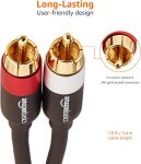 Amazon Basics 2 RCA Audio Cable for Stereo Speaker or Subwoofer with Gold-Plated Plugs, 8 Foot, Black