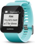 Garmin Forerunner 35, Easy-to-Use GPS Running Watch, Frost Blue, 1 (010-01689-02)
