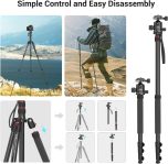 SmallRig CT-10 Camera Tripod, 71″ Foldable Aluminum Tripod & Monopod, 360°Ball Head Detachable, Payload 33lb, Adjustable Height from 16″ to 71″ for Camera, Phone-3935