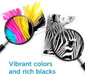 HP 62XL Black High-yield Ink | Works with HP ENVY 5540, 5640, 5660, 7640 Series, HP OfficeJet 5740, 8040 Series, HP OfficeJet Mobile 200, 250 Series | Eligible for Instant Ink | C2P05AN